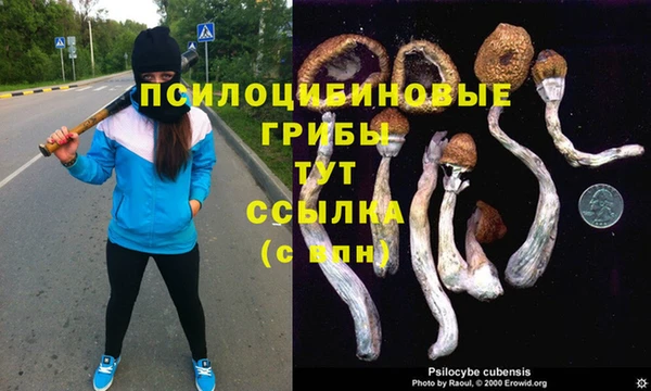 спайс Алзамай